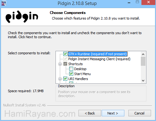 Pidgin 2.13.0 Immagine 4