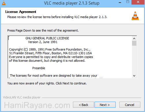VLC Media Player 3.0.6 (32-bit) 絵 3