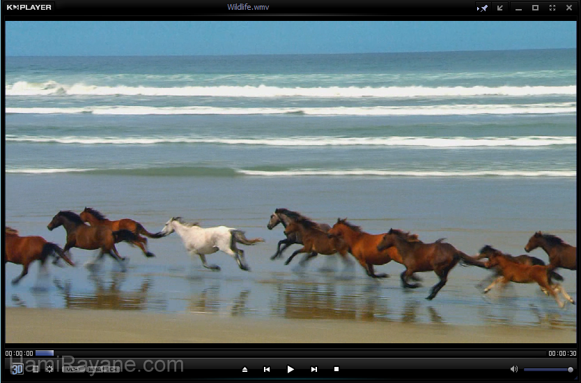 KMPlayer 4.2.2.26 Picture 8
